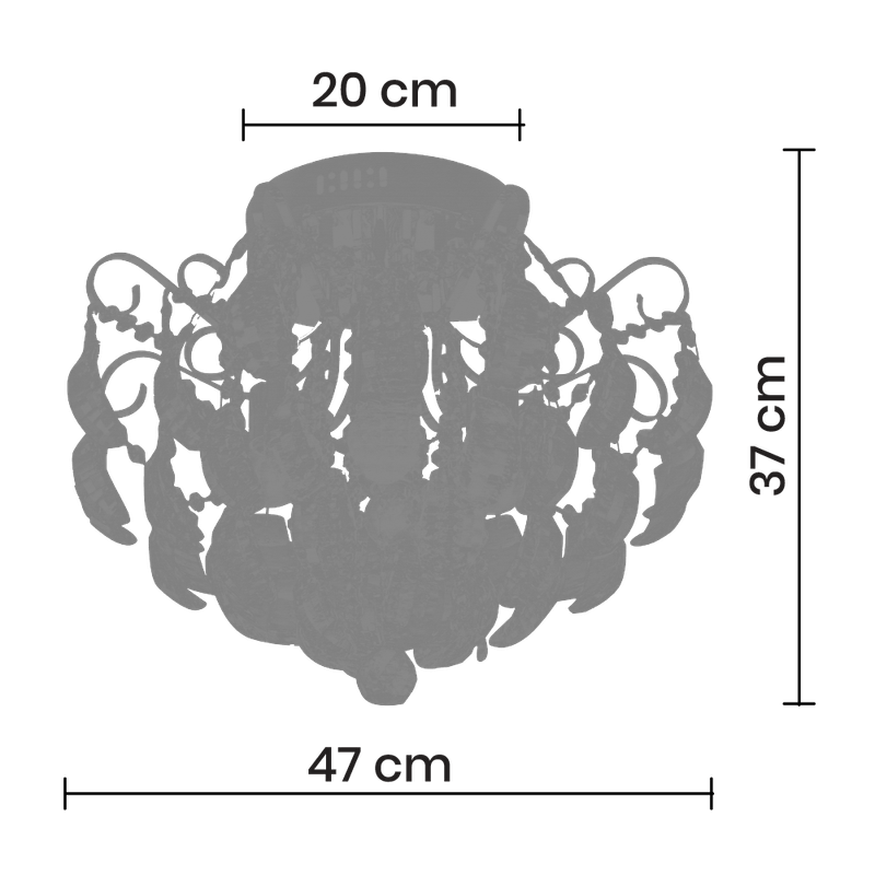 CAL-855-045_02