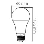 10DA19LED40V_04