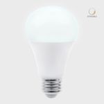 13DA19LED65V